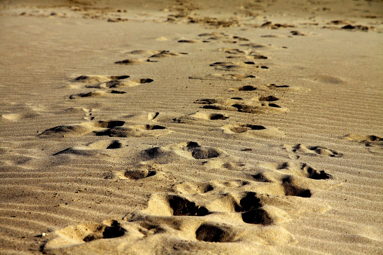footprints, sand, walk-1075132.jpg